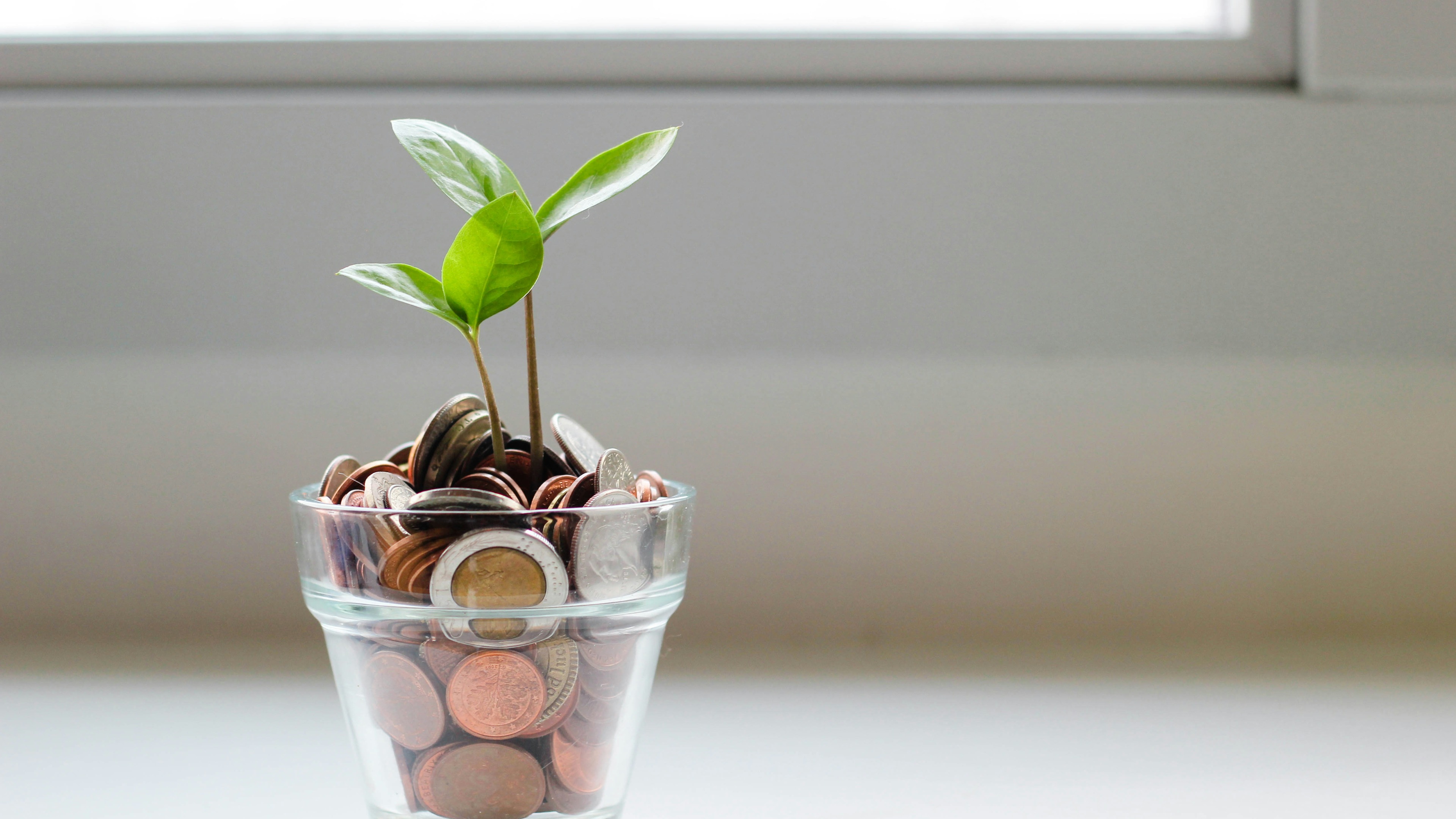 Financial Services